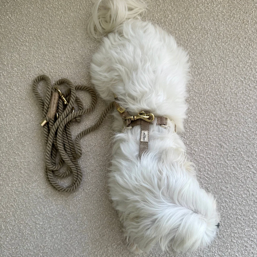Drew's｜Adjustable rope cord (standard) 麻花牽繩（中大型犬）