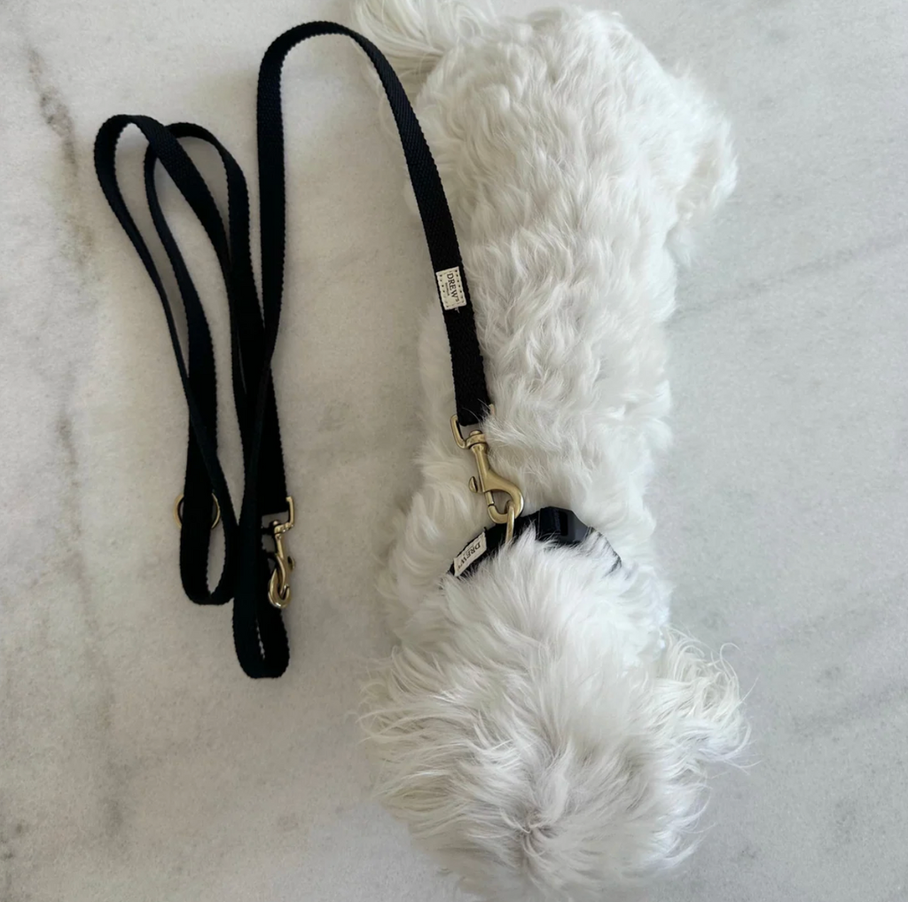 Drew's｜Soft & adjustable dog leash 扁牽繩