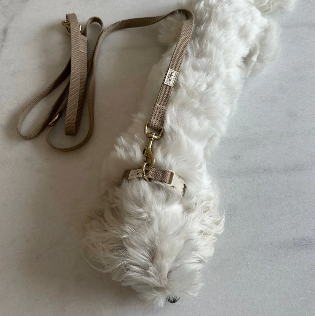 Drew's｜Soft & adjustable dog leash 扁牽繩