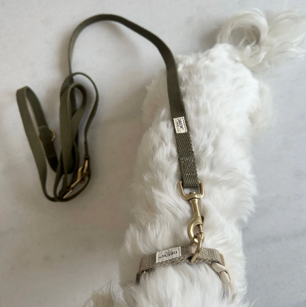Drew's｜Soft & adjustable dog leash 扁牽繩