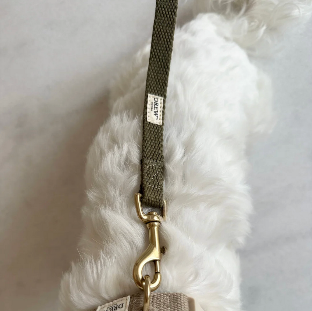 Drew's｜Soft & adjustable dog leash 扁牽繩