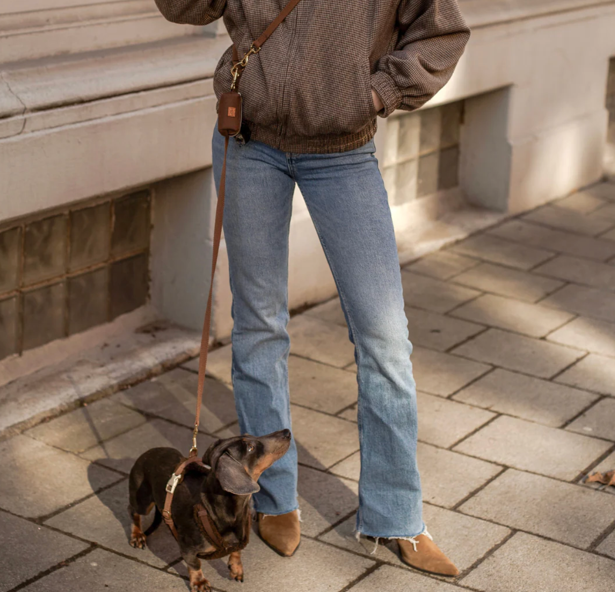 Drew's｜Soft & adjustable dog leash 扁牽繩