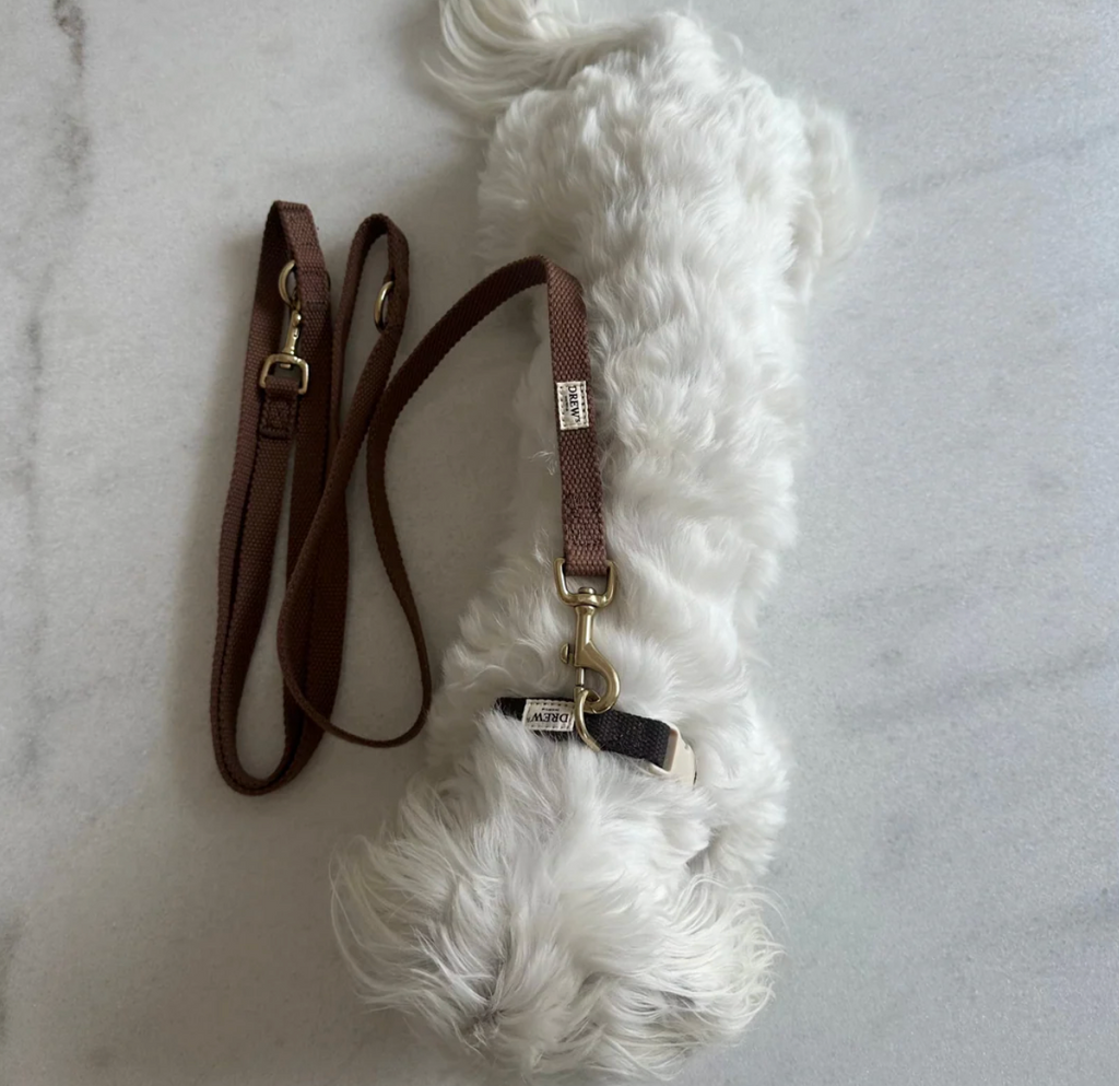 Drew's｜Soft & adjustable dog leash 扁牽繩