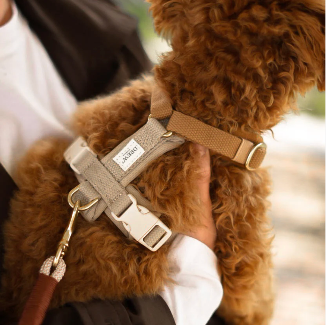 Drew's｜Soft & Adjustable Dog Harness (PRO) 襯墊胸背帶