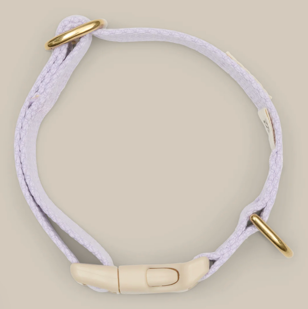 Drew's｜Lightweight and adjustable puppy collar 項圈（幼犬小型犬）