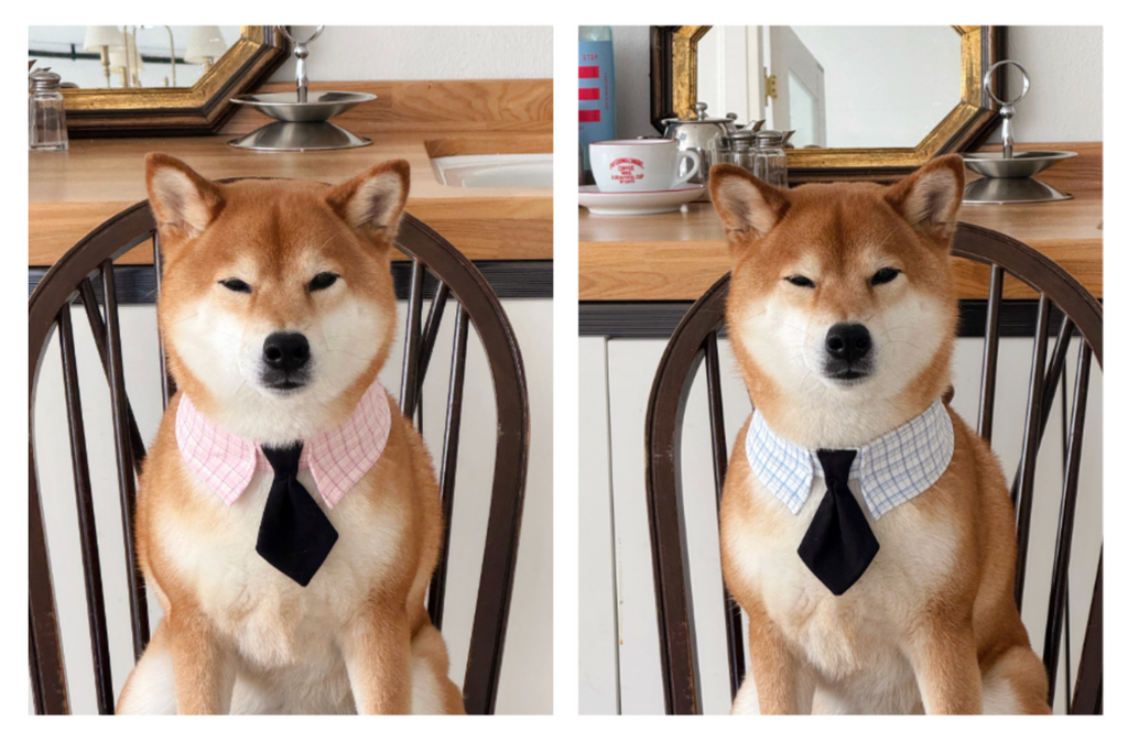 cuddlyday｜Nerdy Check Tie