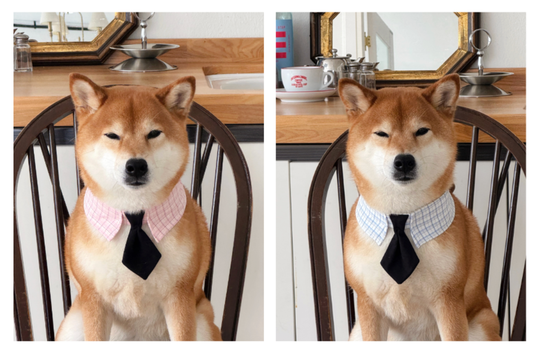cuddlyday｜Nerdy Check Tie