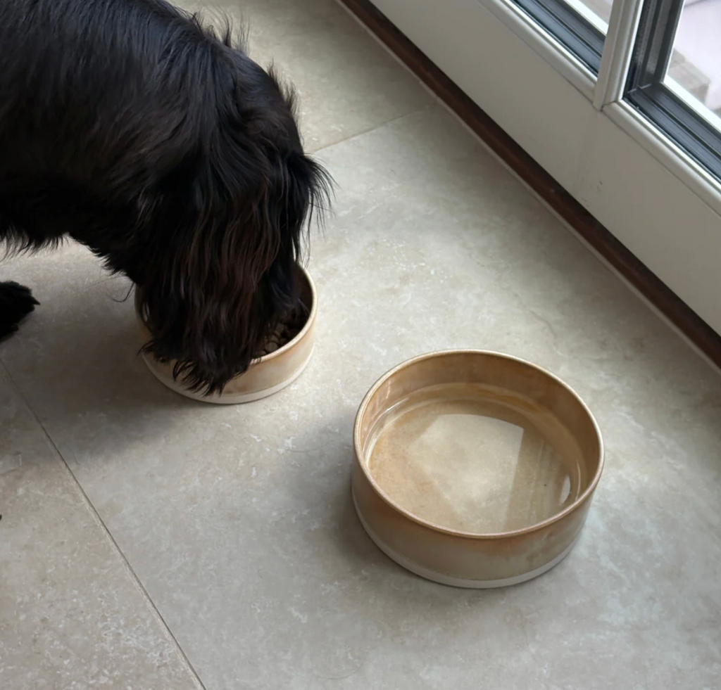 Drew's｜Lily – Handmade Ceramic Dog Bowl 手工陶瓷碗