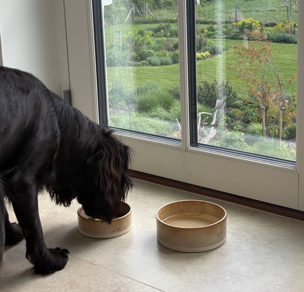 Drew's｜Lily – Handmade Ceramic Dog Bowl 手工陶瓷碗