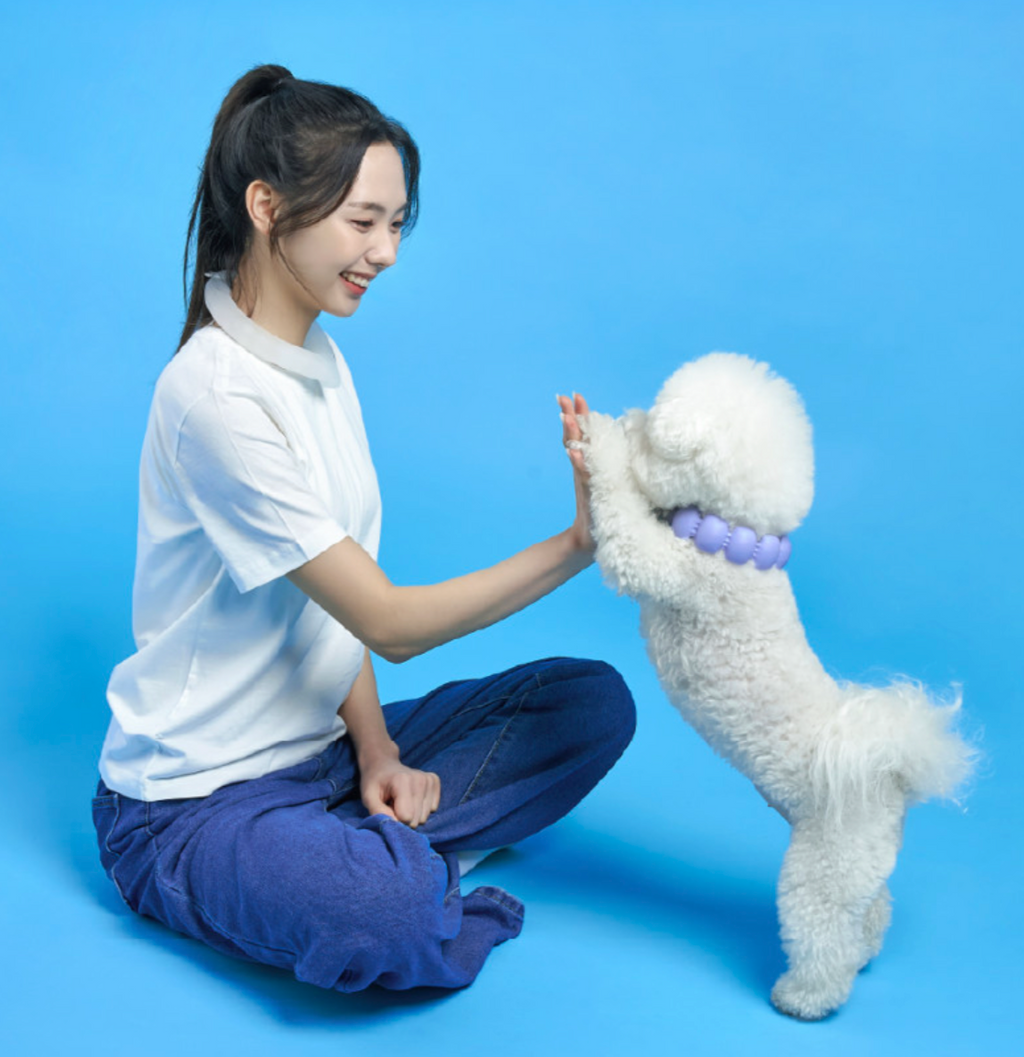 代購｜散步降溫神器：寵物+人類涼感脖圍豪華set
