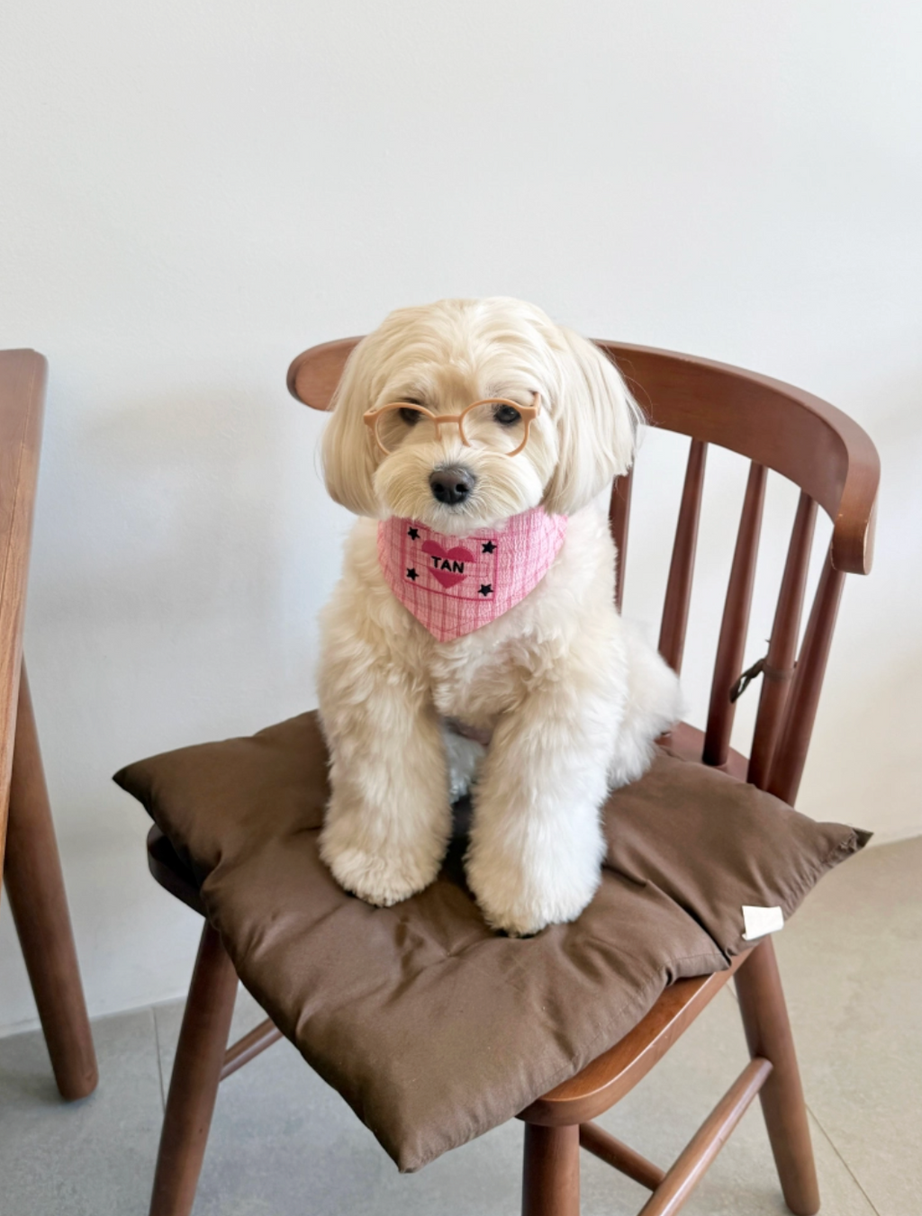 Cupigy｜Patter Scarf