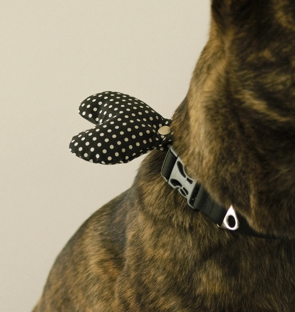 Cupigy｜Snuggle Cushion Tag（Dot Black）