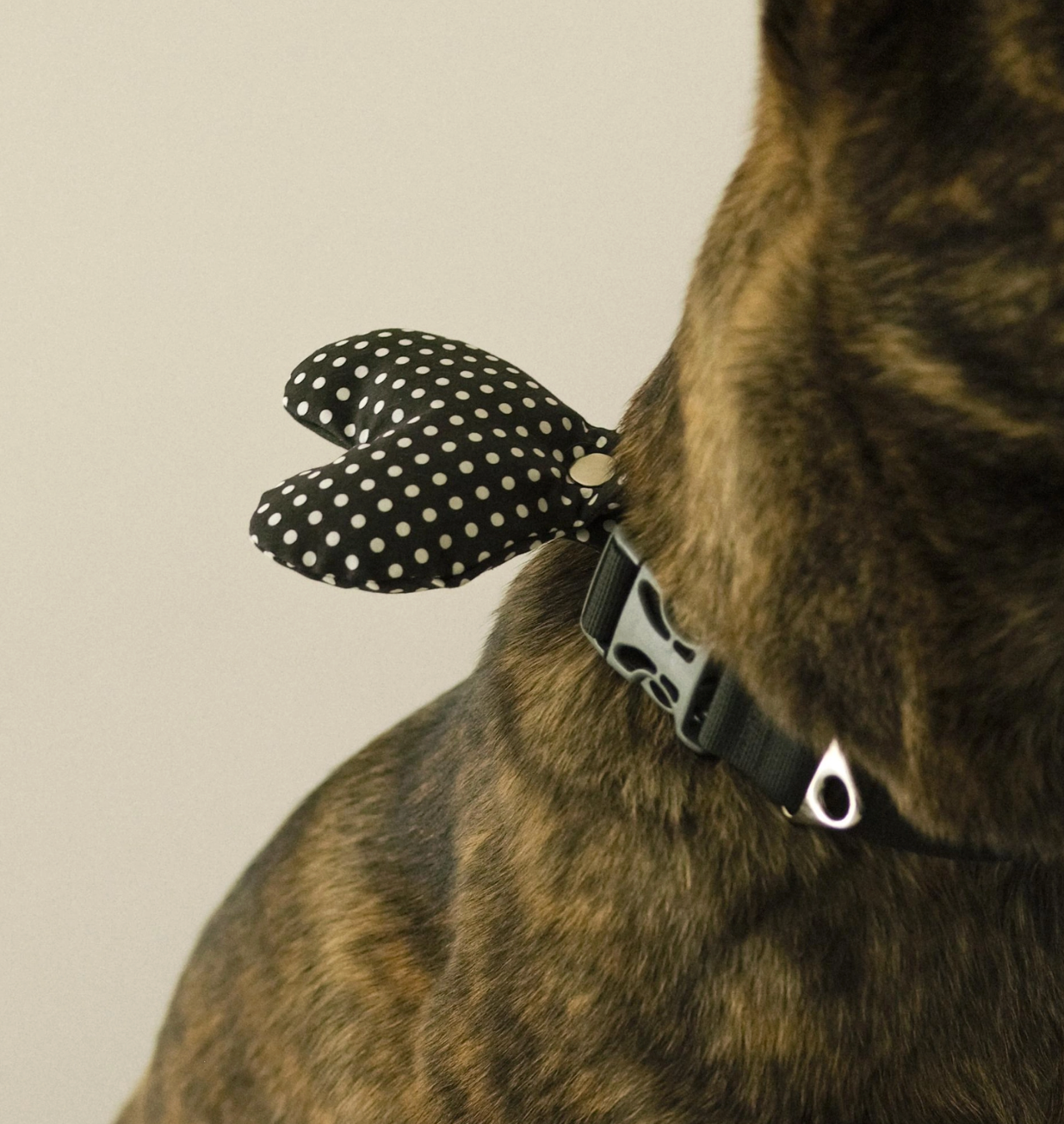 Cupigy｜Snuggle Cushion Tag（Dot Black）