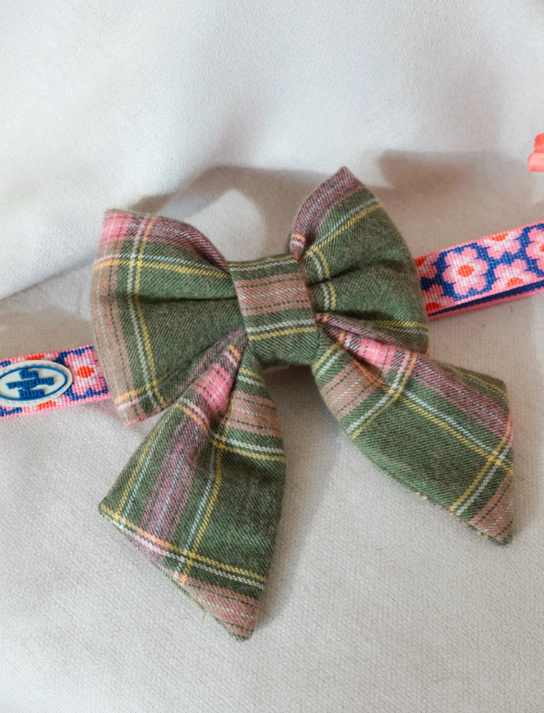 TWB｜Sage Pink Ribbon｜鼠尾草粉蝴蝶結