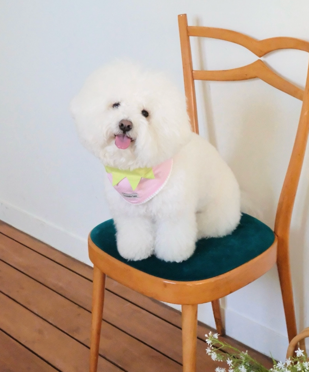 FreddieTale｜Very Berry Bandana 粉色草莓領巾