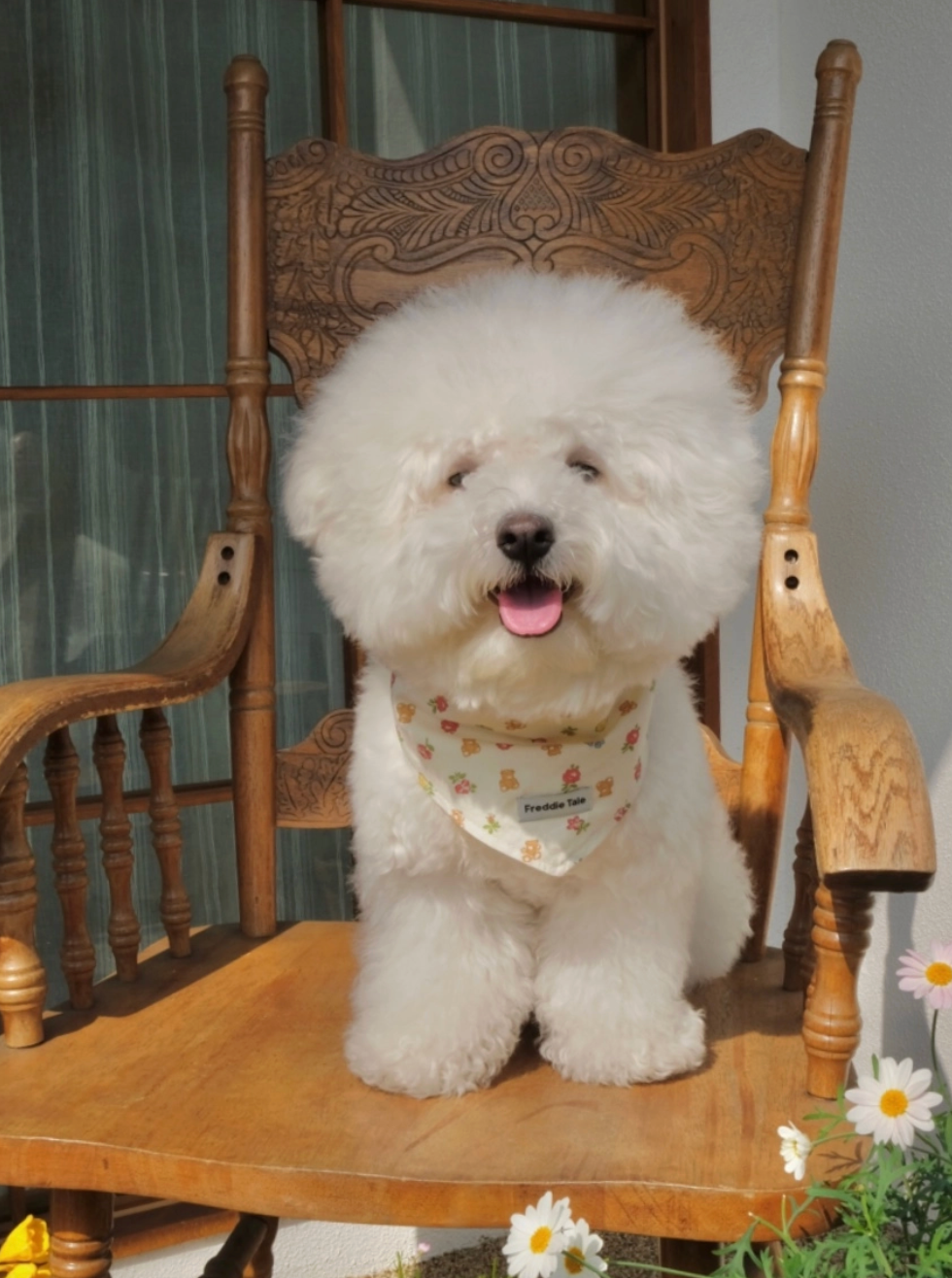 FreddieTale｜Bear in Bloom Bandana 小熊花朵領巾