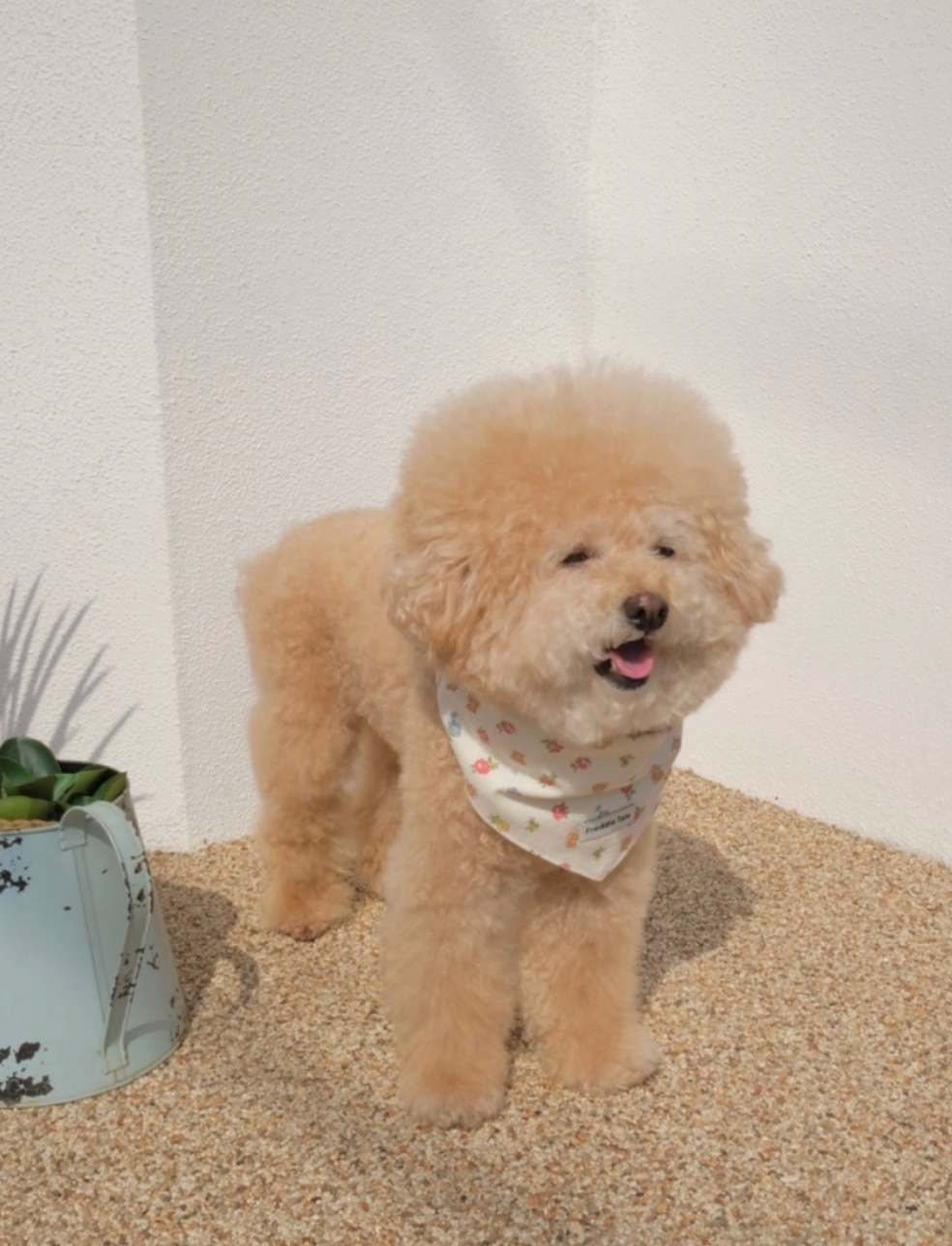 FreddieTale｜Bear in Bloom Bandana 小熊花朵領巾