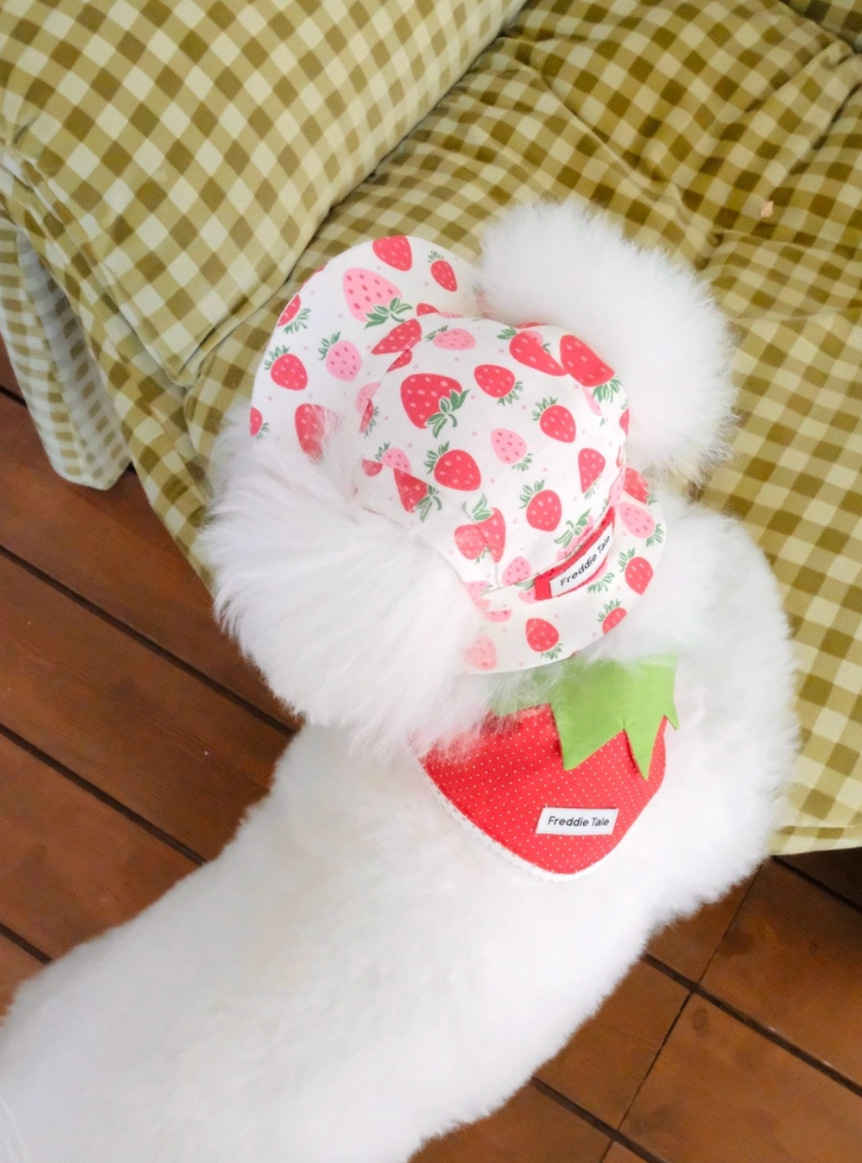 FreddieTale｜Strawberry Bucket Hat 草莓漁夫帽