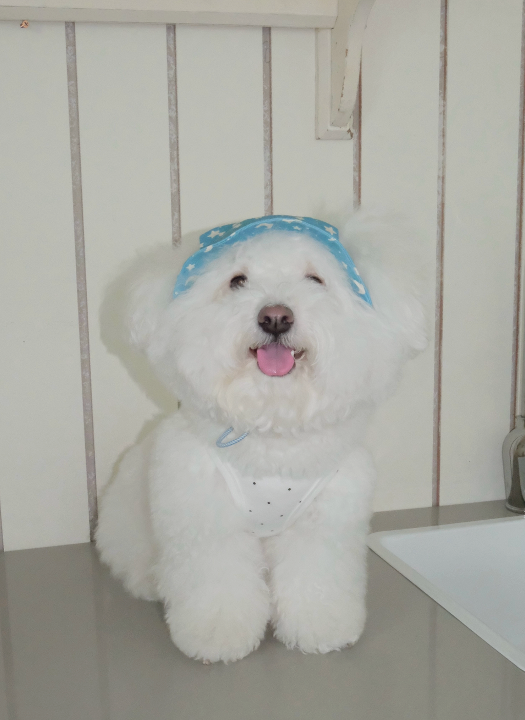 FreddieTale｜Moonlight star bucket hat 星空漁夫帽