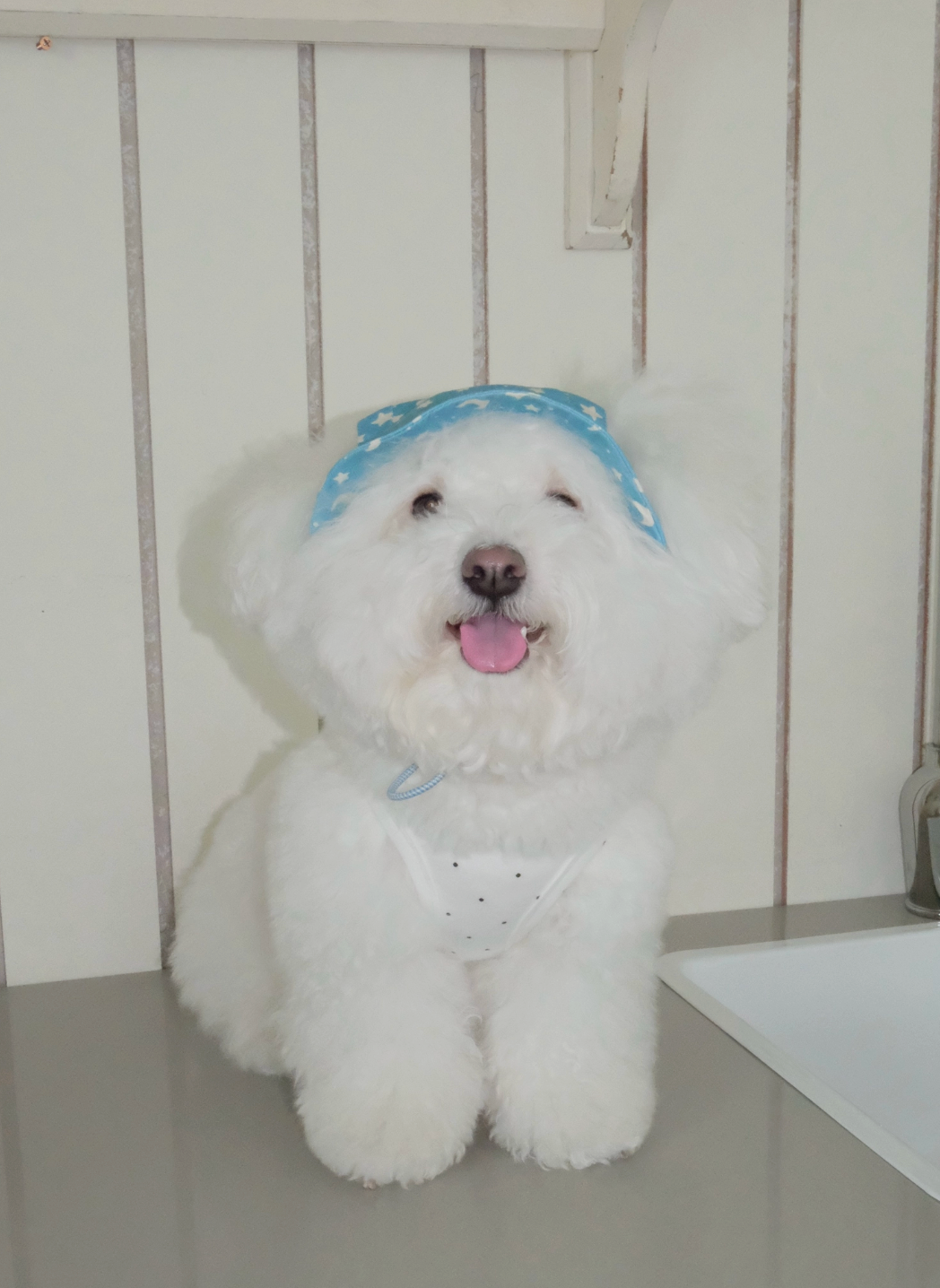 FreddieTale｜Moonlight star bucket hat 星空漁夫帽