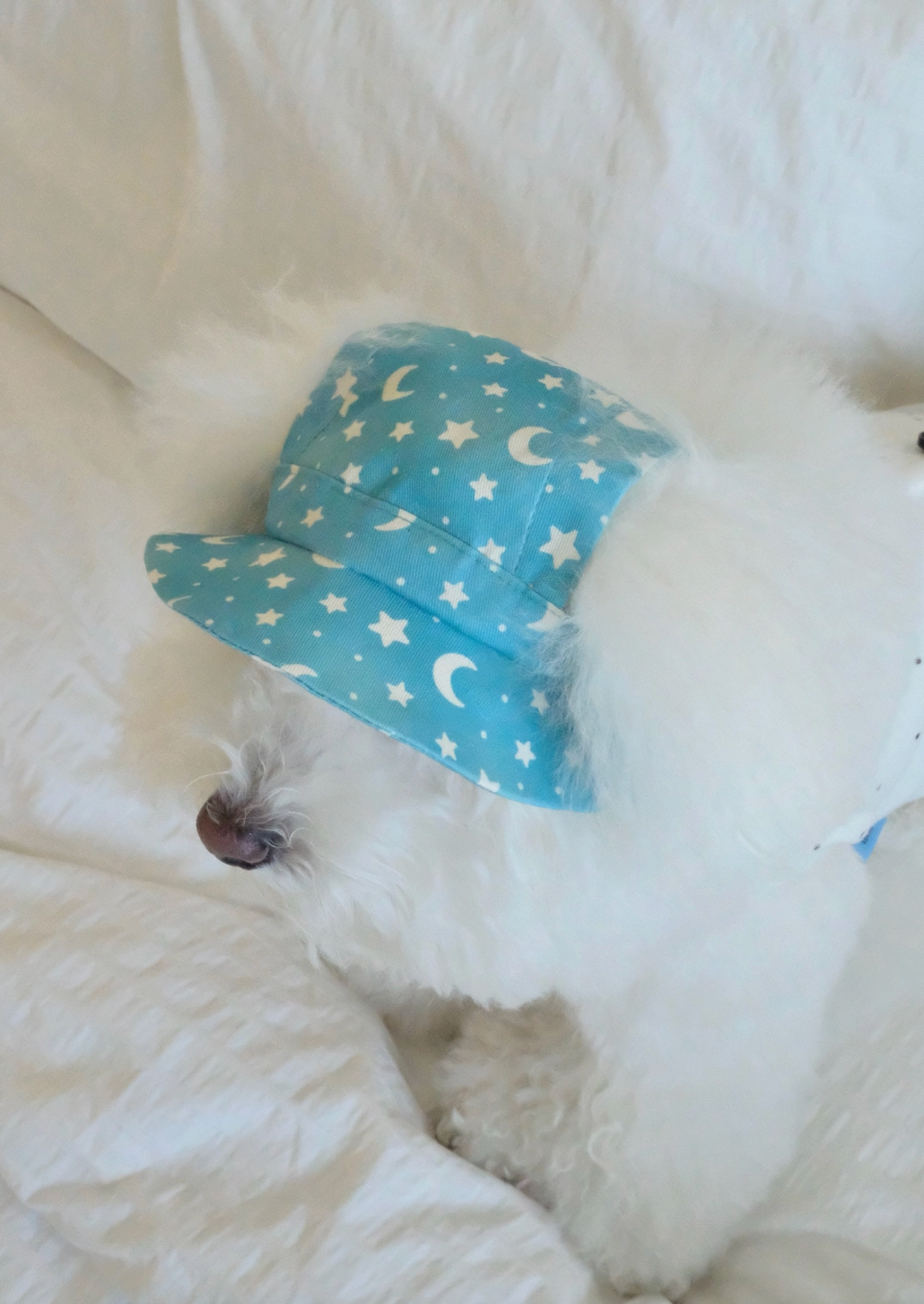 FreddieTale｜Moonlight star bucket hat 星空漁夫帽