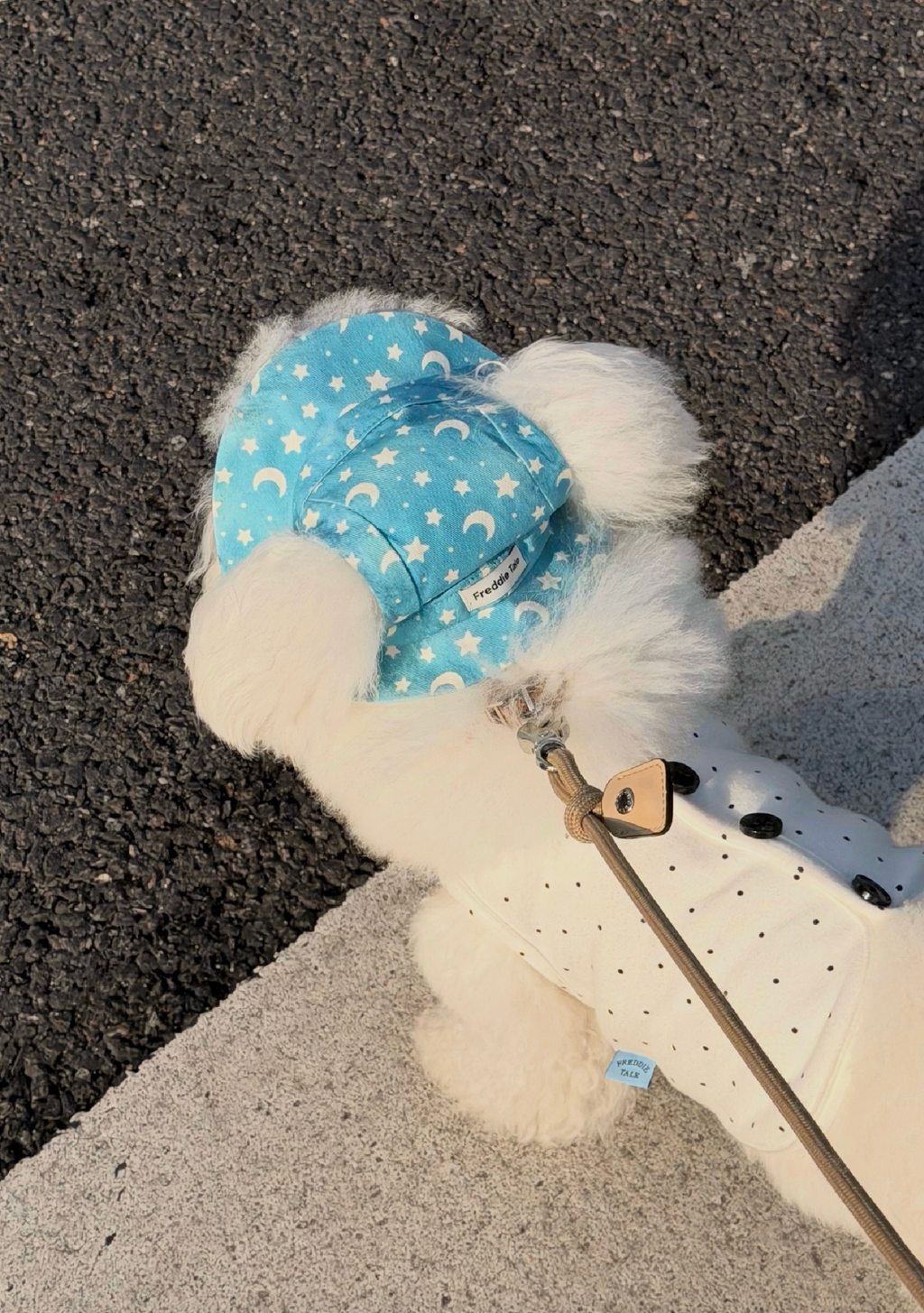 FreddieTale｜Moonlight star bucket hat 星空漁夫帽