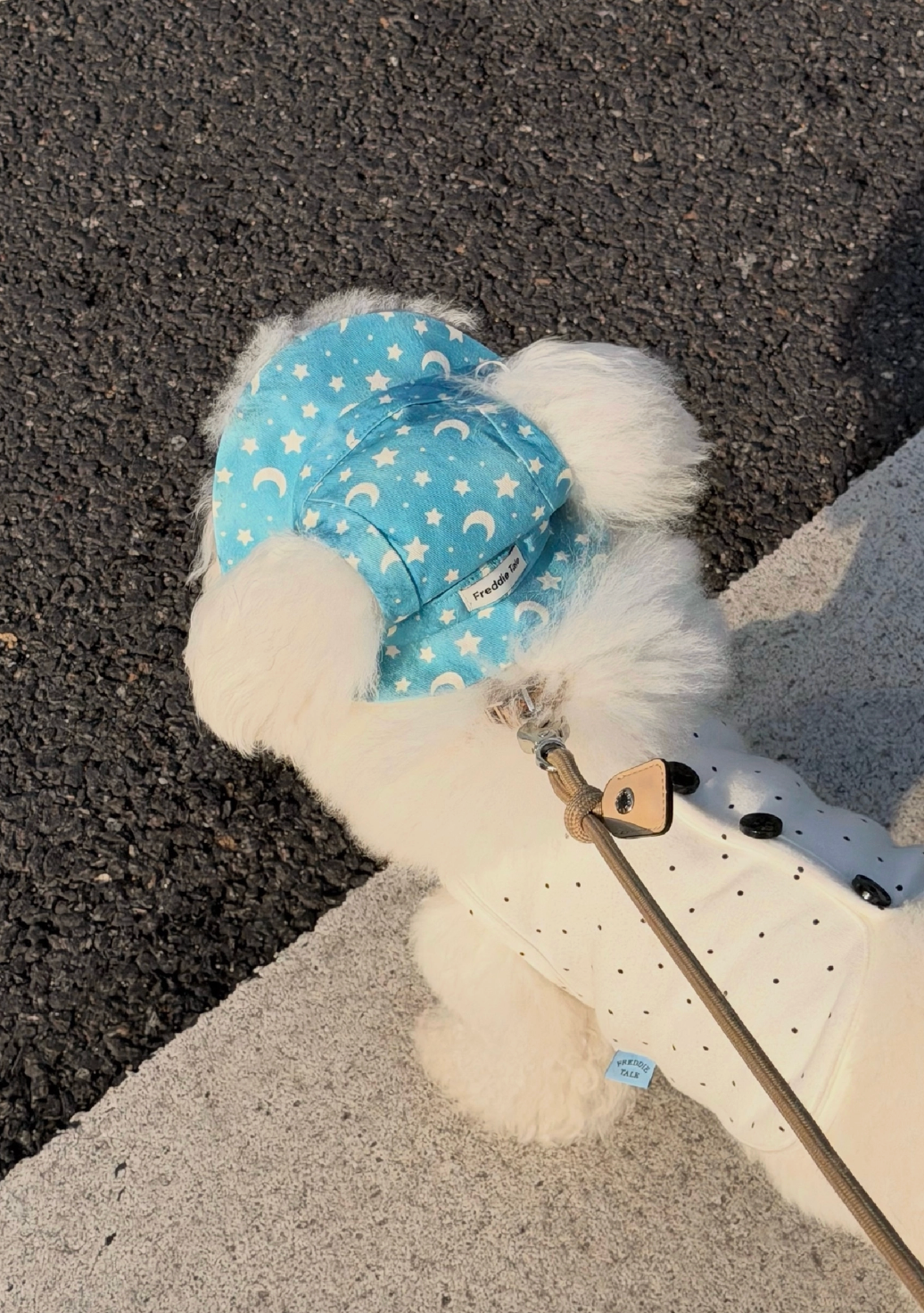 FreddieTale｜Moonlight star bucket hat 星空漁夫帽