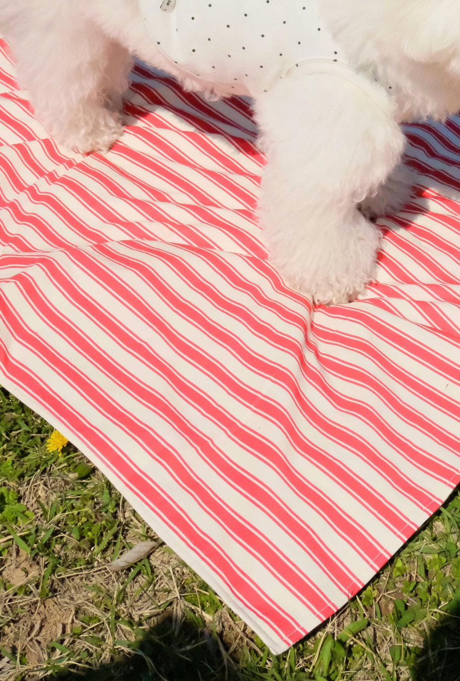 FreddieTale｜Striped blanket 條紋小毯子（2色）