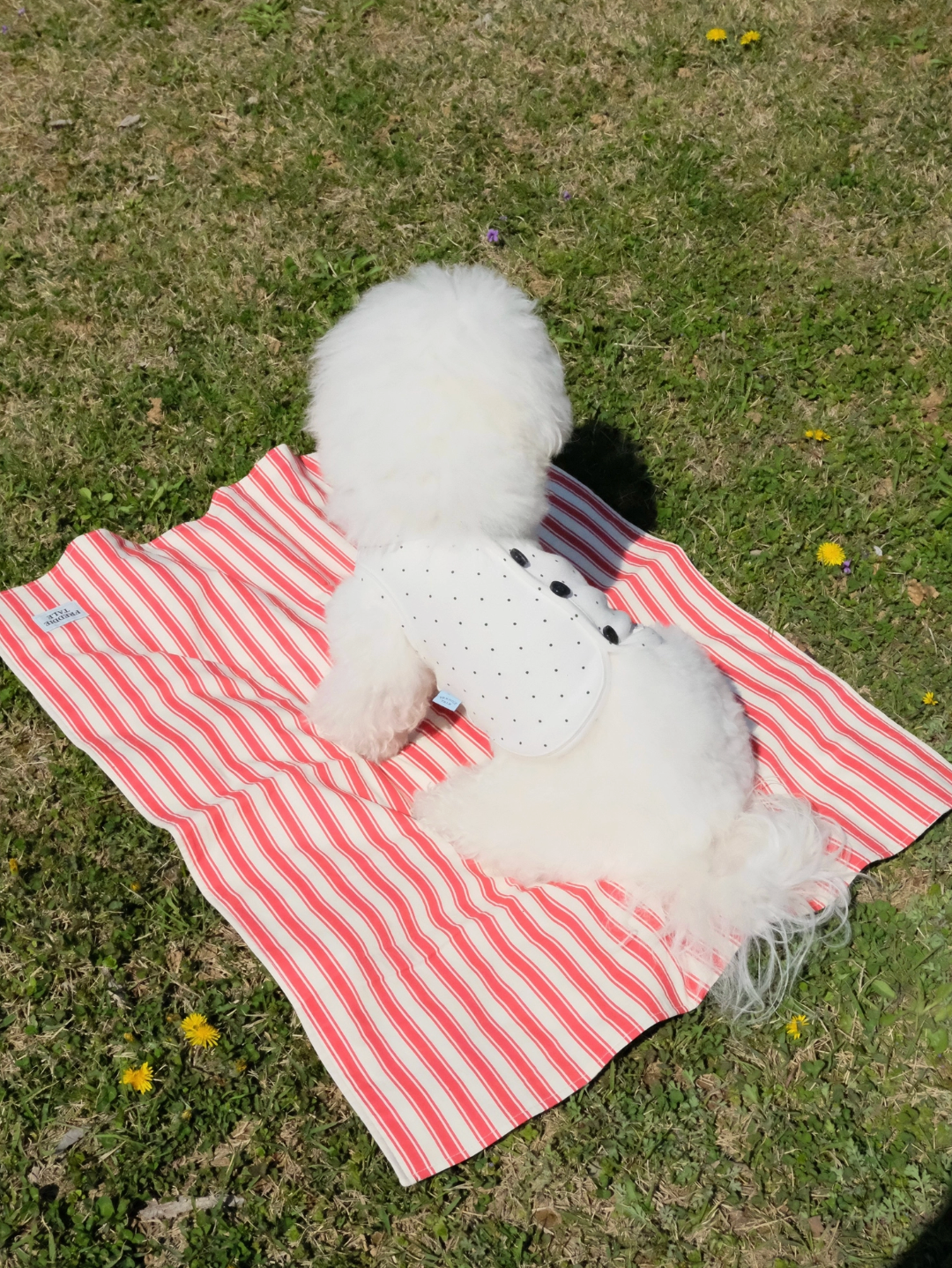 FreddieTale｜Striped blanket 條紋小毯子（2色）