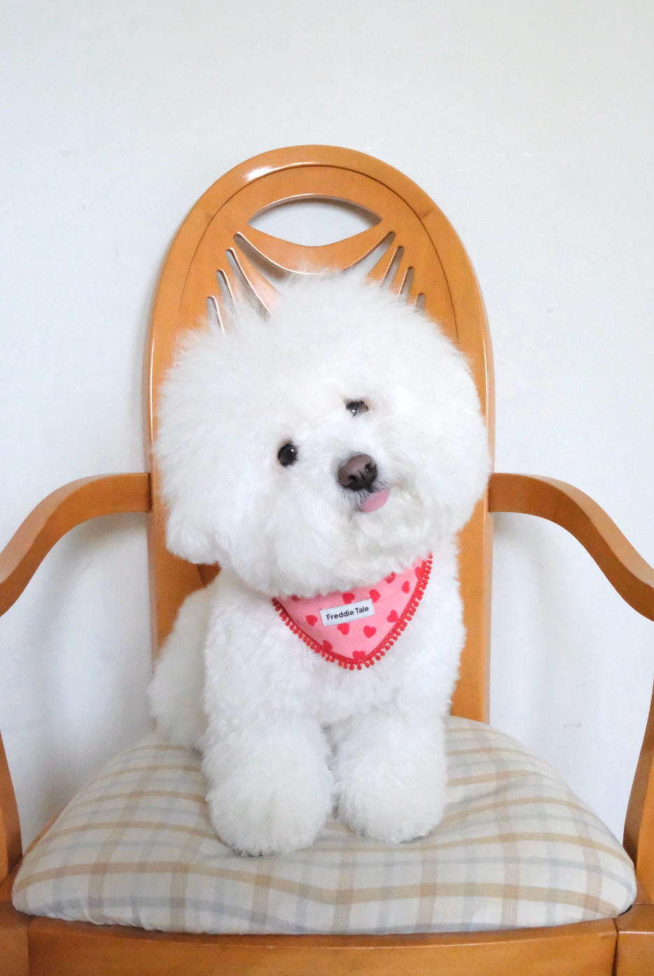 FreddieTale｜LOVE bandana (pink) LOVE粉色流蘇領巾