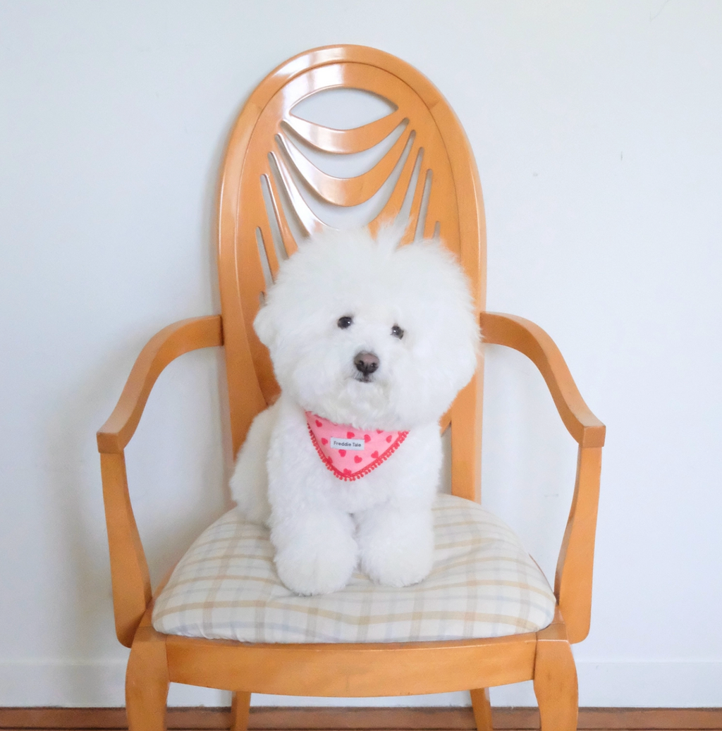 FreddieTale｜LOVE bandana (pink) LOVE粉色流蘇領巾