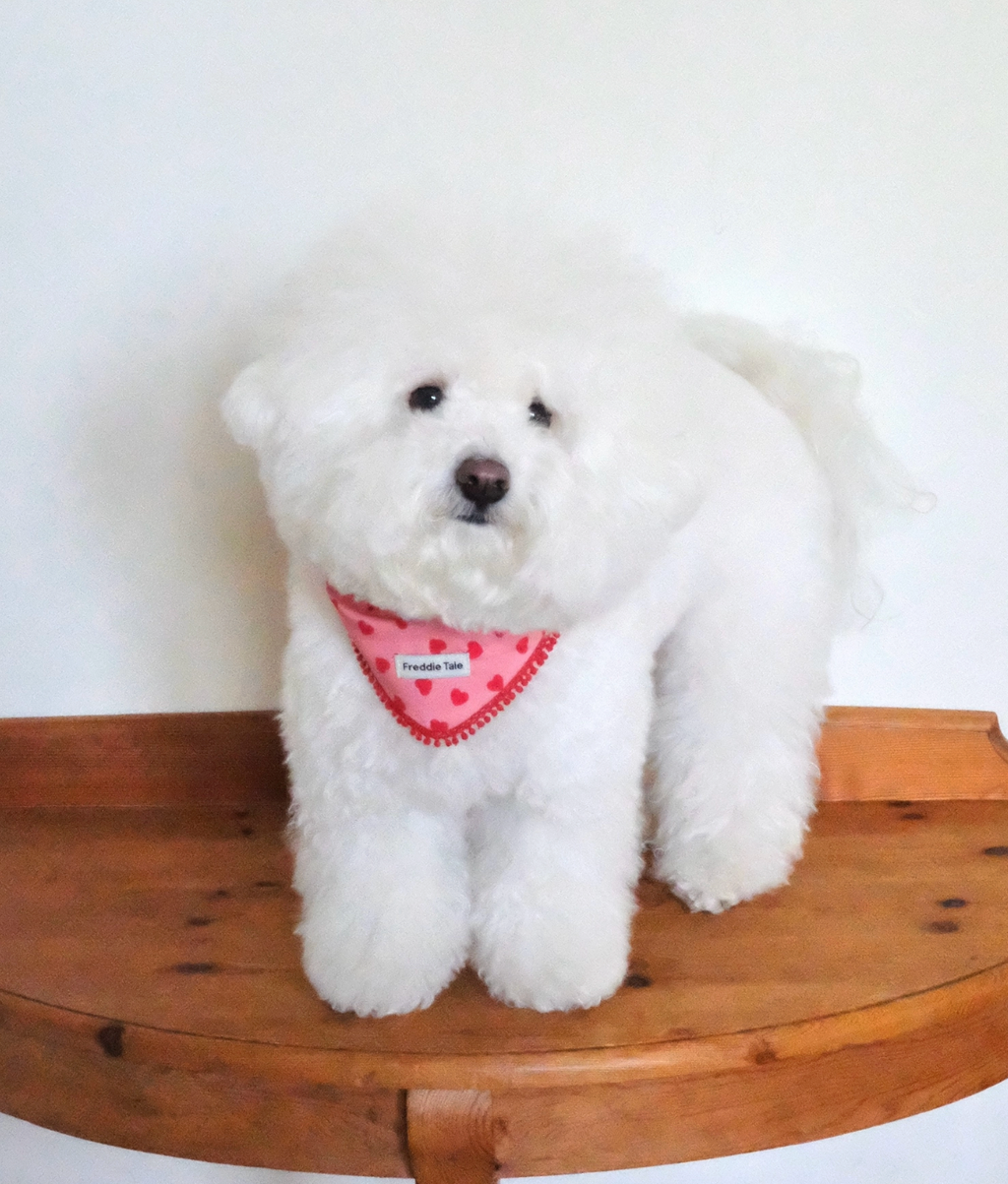 FreddieTale｜LOVE bandana (pink) LOVE粉色流蘇領巾