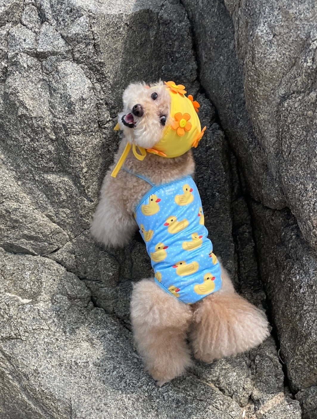 FreddieTale｜Swimming Duck Monokini 可愛鴨鴨連身泳衣