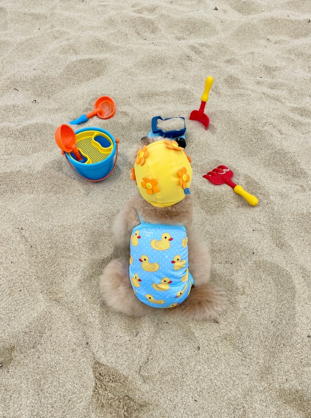 FreddieTale｜Swimming Duck Monokini 可愛鴨鴨連身泳衣