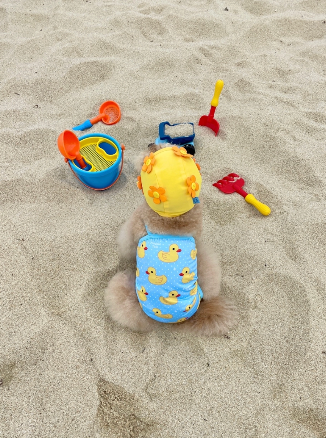 FreddieTale｜Swimming Duck Monokini 可愛鴨鴨連身泳衣