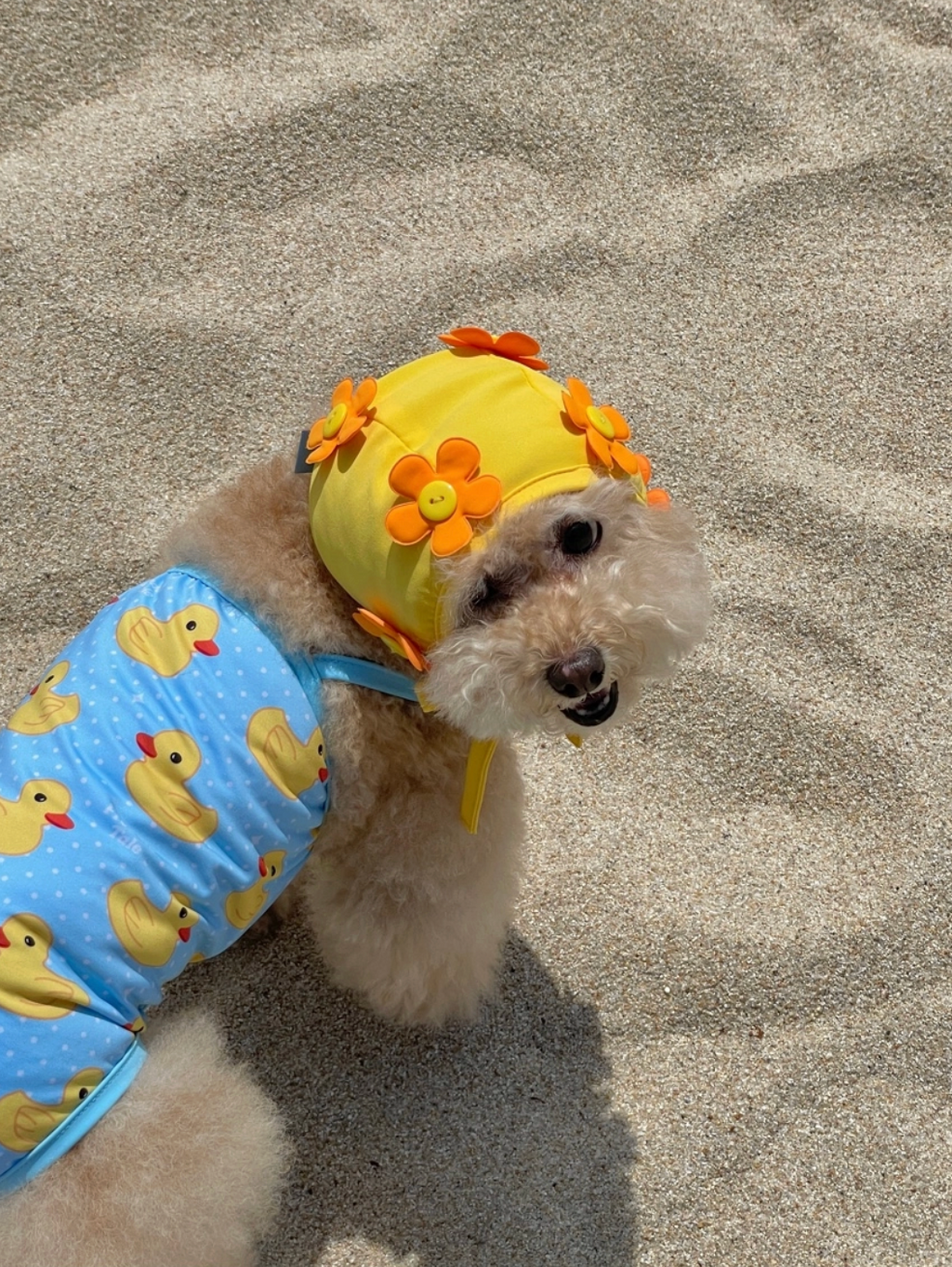 FreddieTale｜Swimming Duck Monokini 可愛鴨鴨連身泳衣