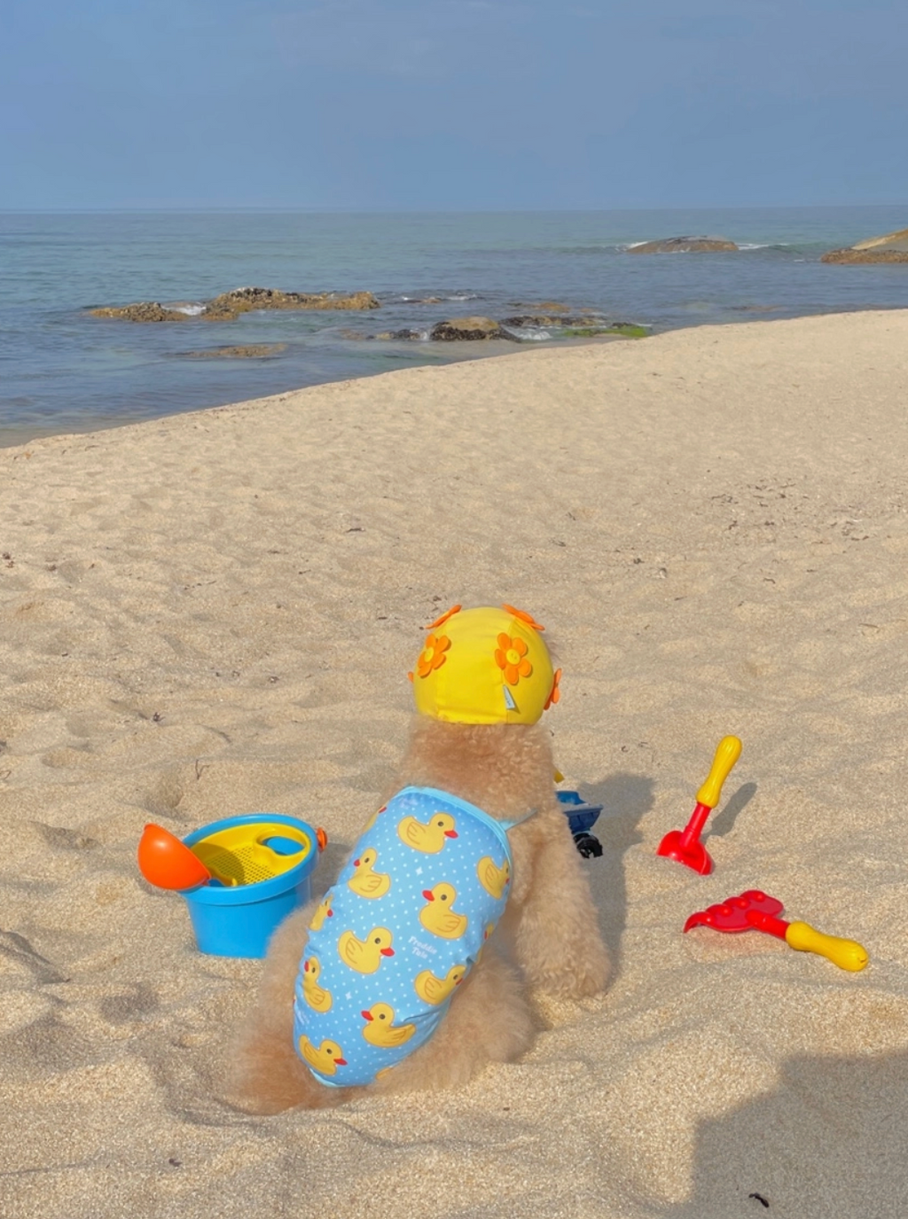 FreddieTale｜Swimming Duck Monokini 可愛鴨鴨連身泳衣