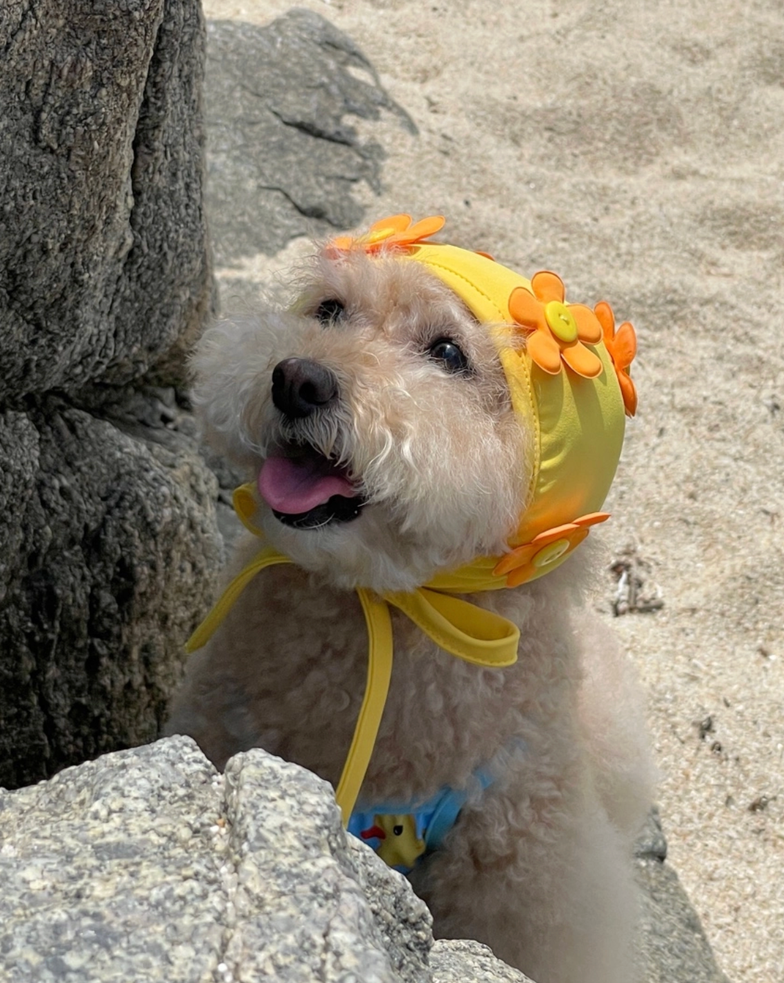 FreddieTale｜BLOOMING SWIMMING CAP 小花花復古泳帽（3色）