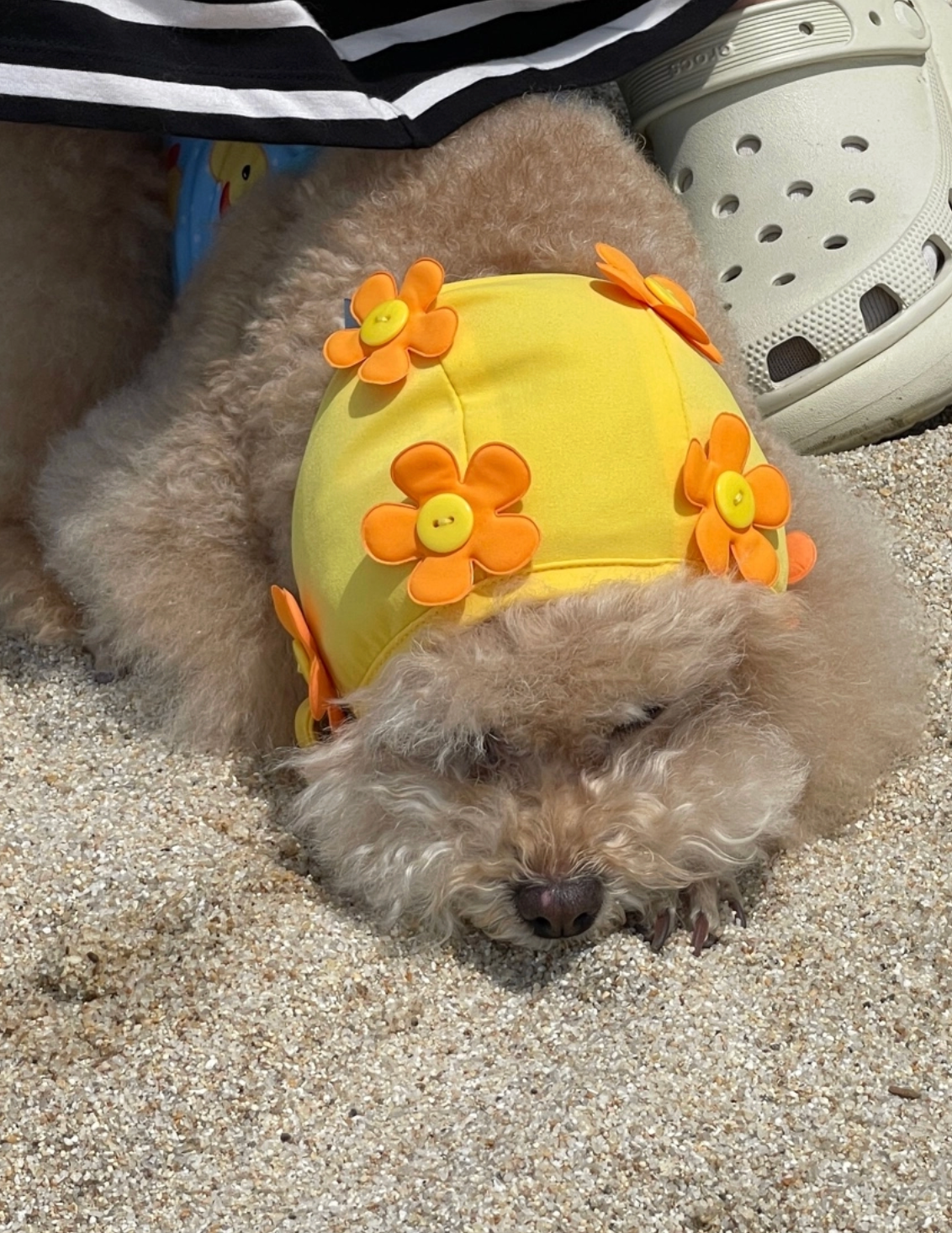 FreddieTale｜BLOOMING SWIMMING CAP 小花花復古泳帽（3色）
