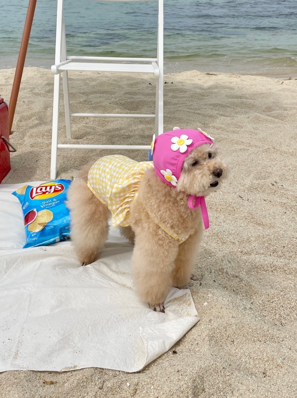 FreddieTale｜BLOOMING SWIMMING CAP 小花花復古泳帽（3色）