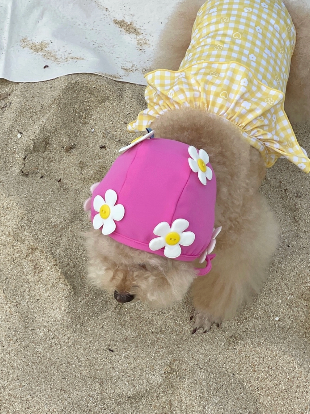 FreddieTale｜BLOOMING SWIMMING CAP 小花花復古泳帽（3色）