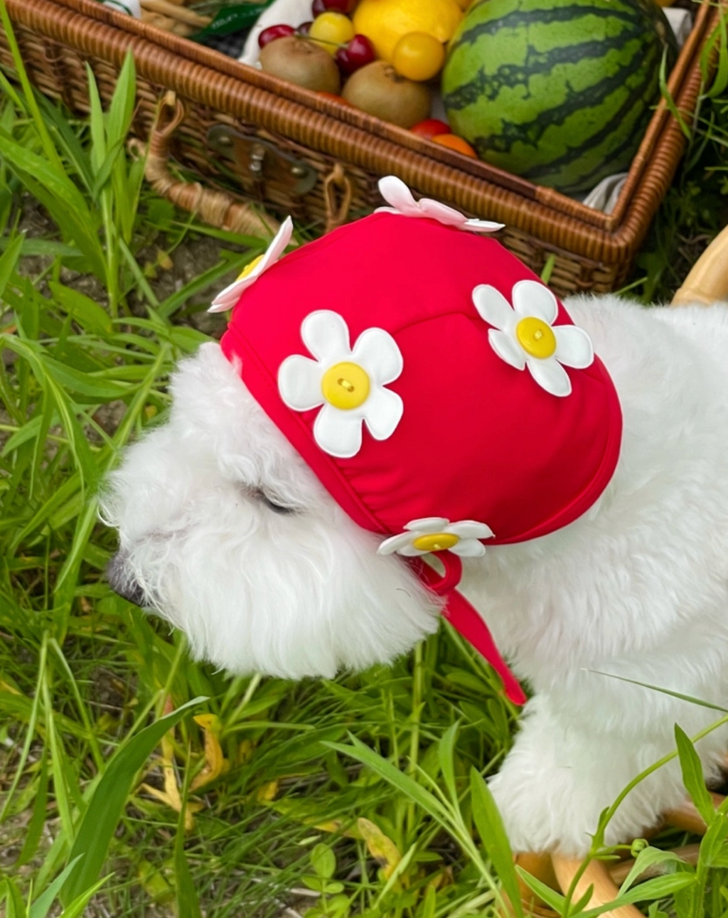 FreddieTale｜BLOOMING SWIMMING CAP 小花花復古泳帽（3色）