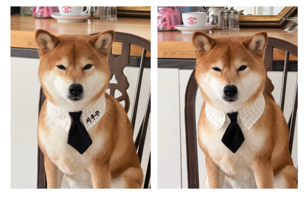 cuddlyday｜Nerdy Check Tie