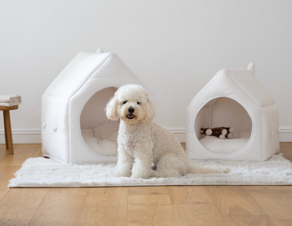 OURSLIPPU｜Informal 家庭小屋（適合中型犬）
