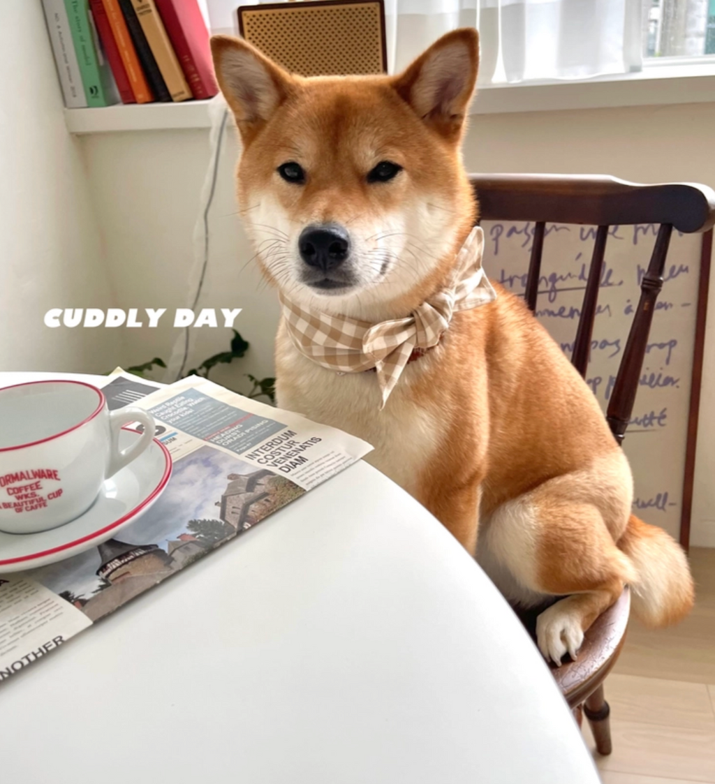 cuddlyday｜經典格紋（涼感圍巾）