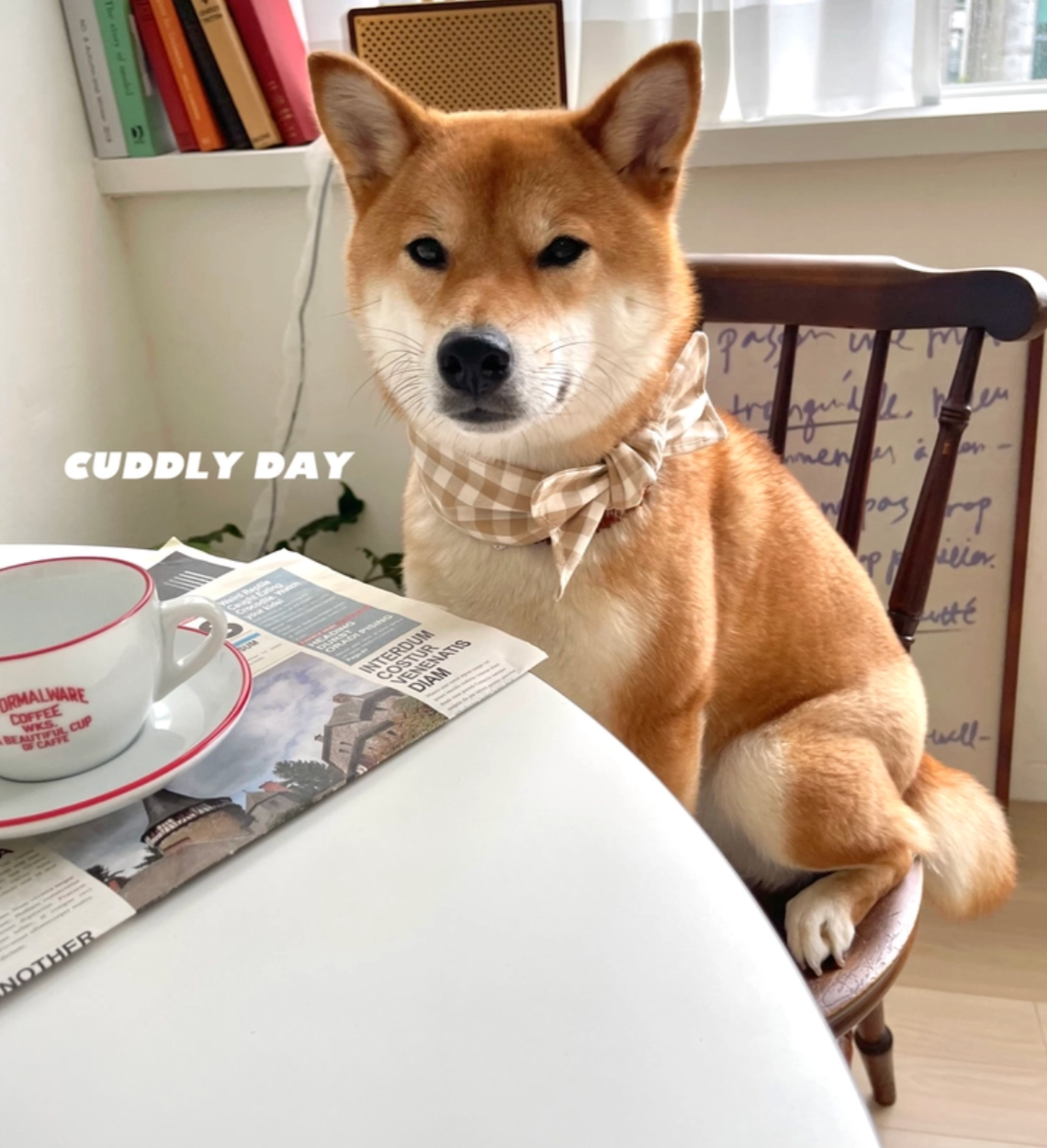 cuddlyday｜經典格紋（涼感圍巾）