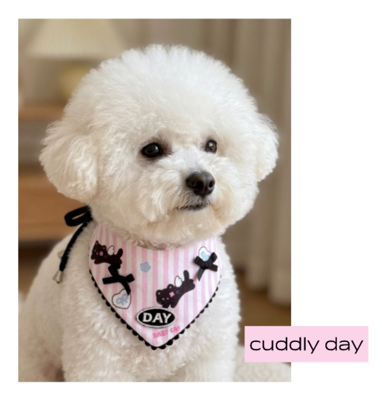 cuddlyday｜BABY CAT（三角領巾／涼感領巾）