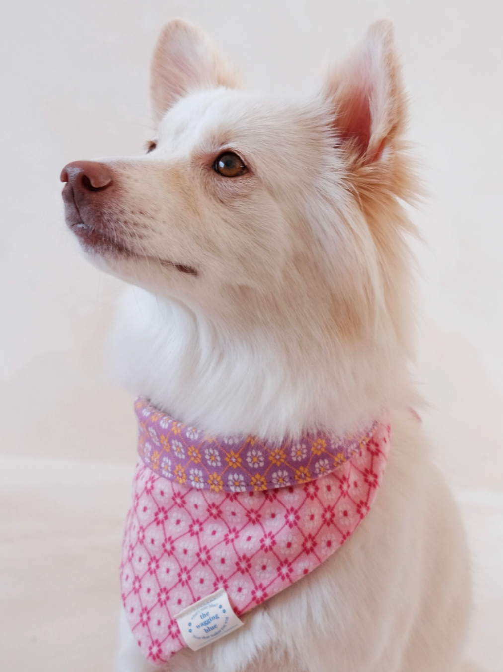 TWB｜Argyle Reversible Bandana｜菱格紋雙面領巾