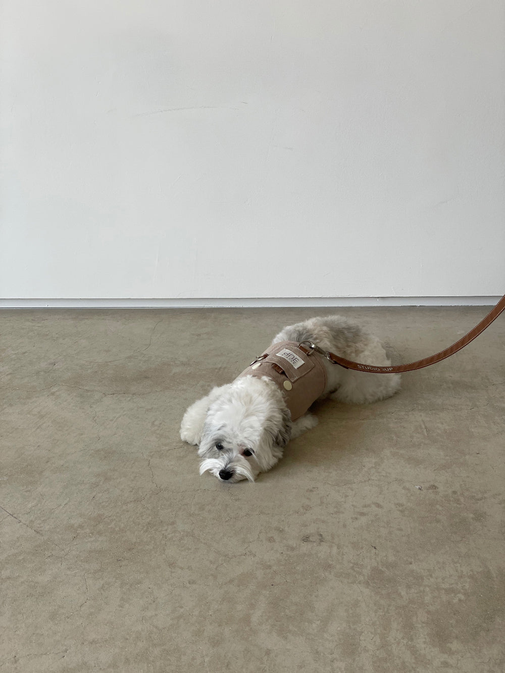 Studio3Up｜舒適棉質牽繩｜PRETZEL comfy cotton leash