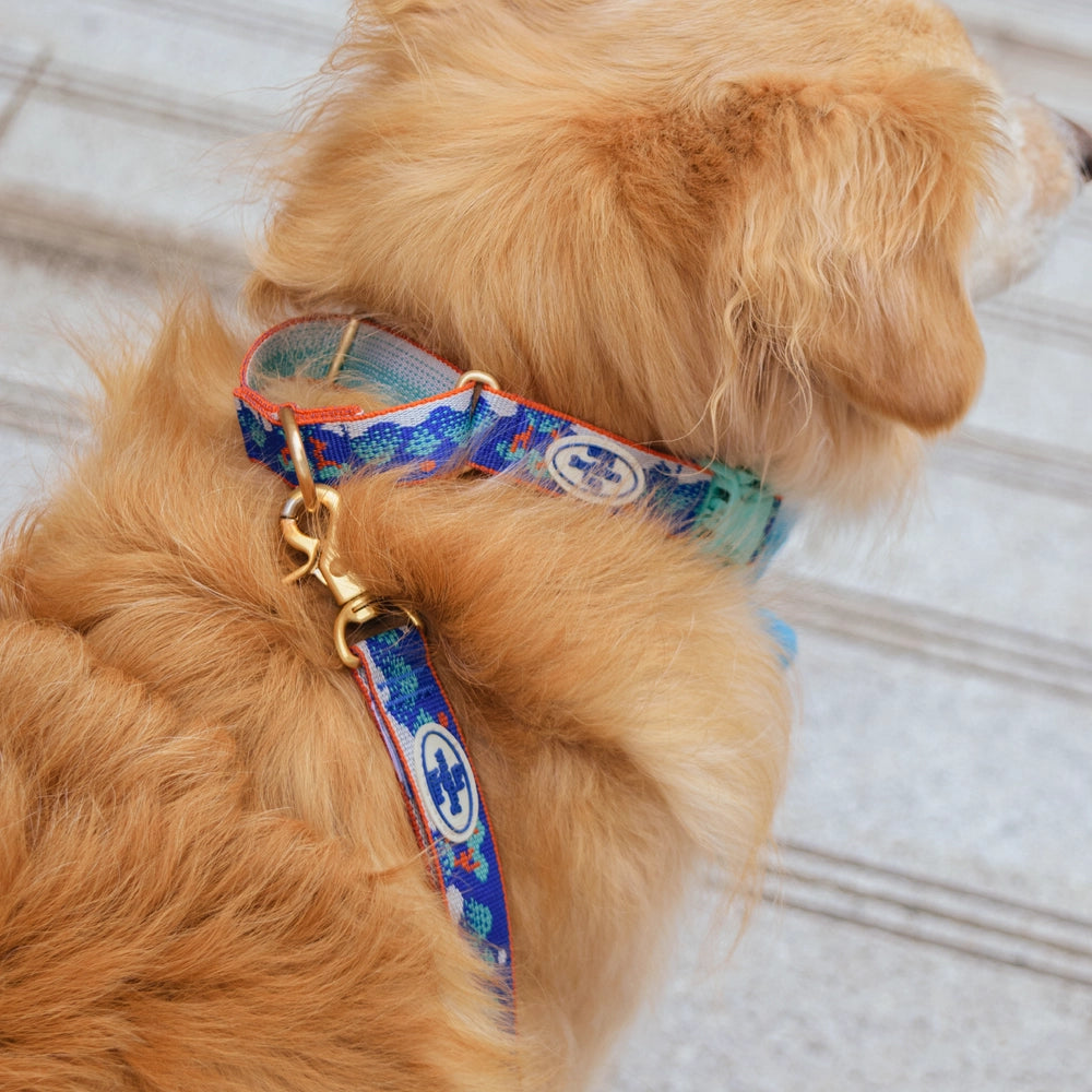 TWB｜Ilwolobongdo Martingale Collar｜日月五峰圖安全防脫項圈